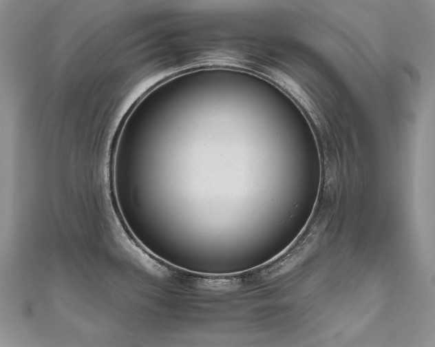 X0000110911339200906181335