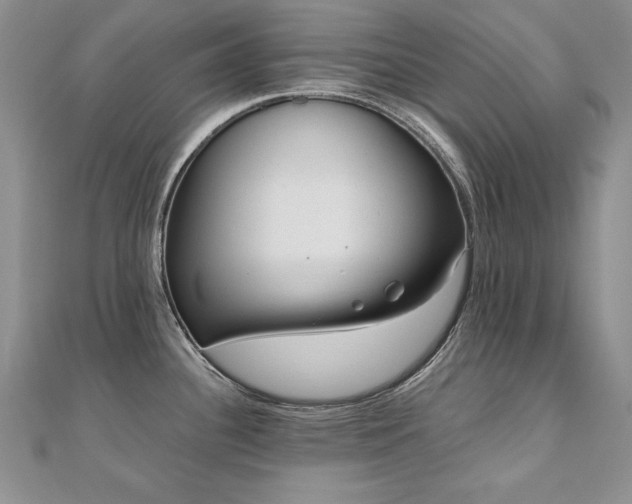 X0000110911340200906181335