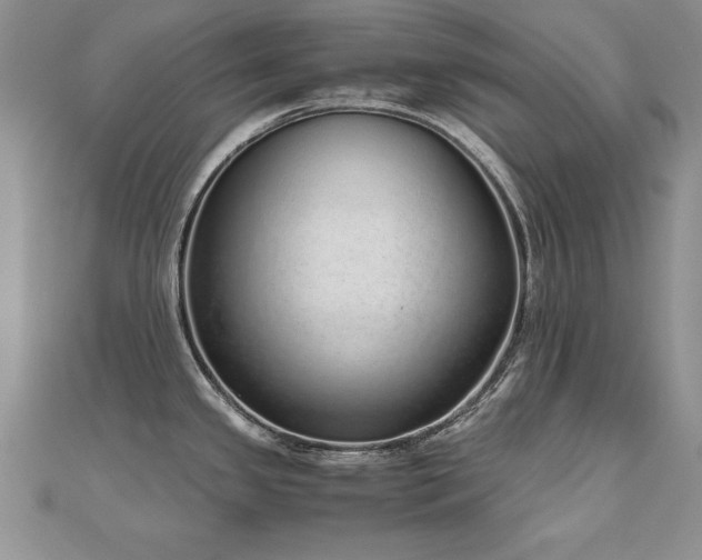 X0000110911341200906181335