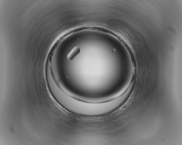 X0000110911342200906181335