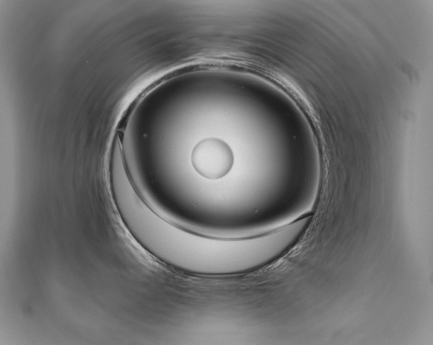 X0000110911344200906181335