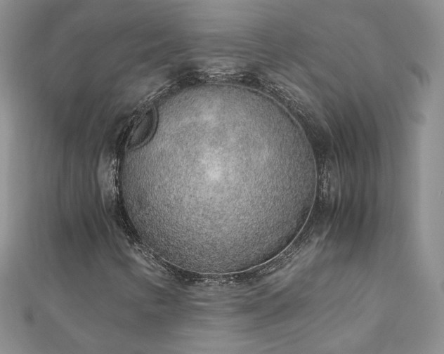 X0000110911346200906181334