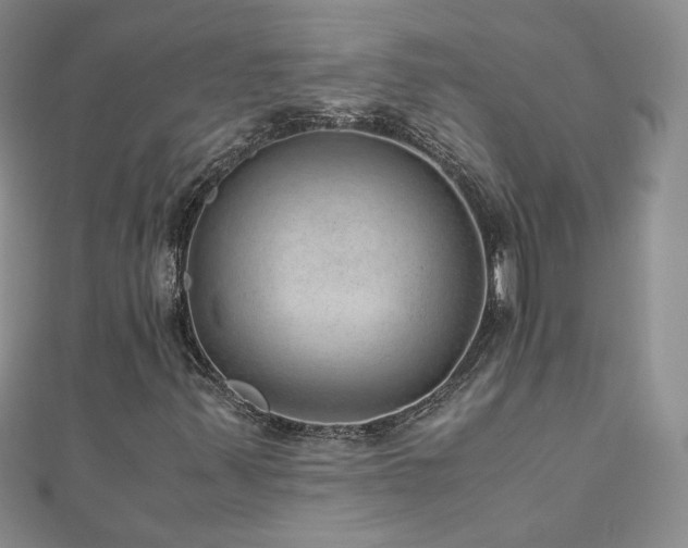 X0000110911347200906181334