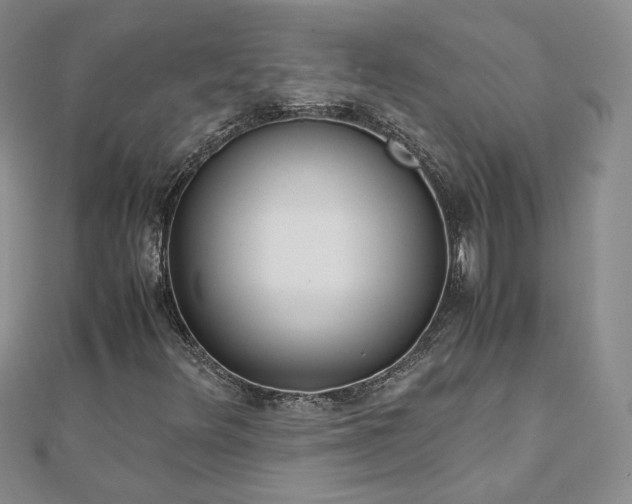 X0000110911348200906181334