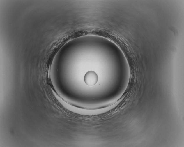 X0000110911349200906181334