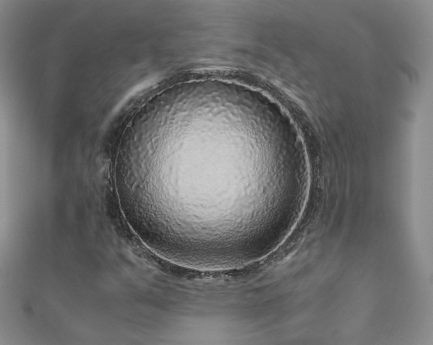 X0000110911351200906181334