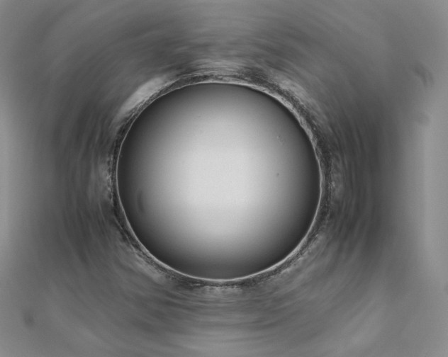 X0000110911354200906181334