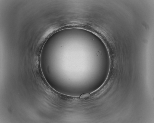 X0000110911355200906181334