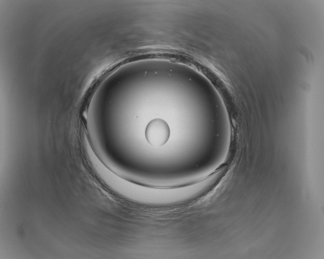 X0000110911357200906181334