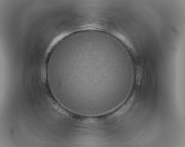 X0000110911358200906181334