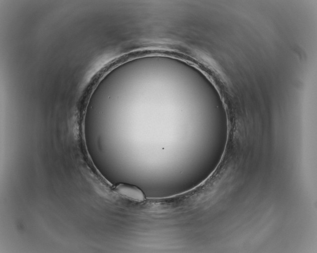 X0000110911360200906181334