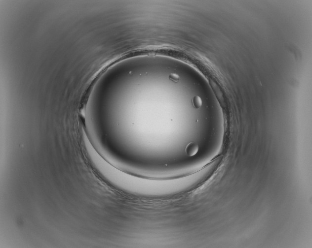 X0000110911361200906181334