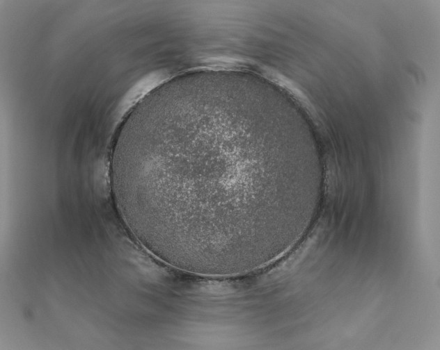 X0000110911362200906181334