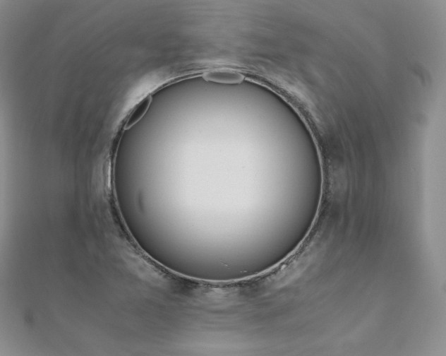 X0000110911365200906181334