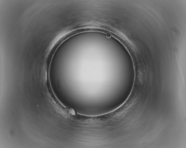 X0000110911368200906181334