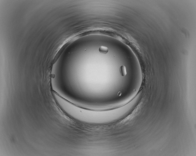 X0000110911369200906181334