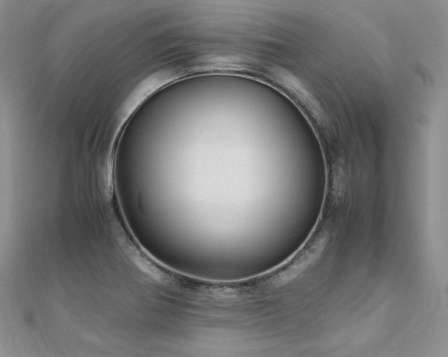 X0000110911370200906181334