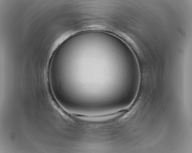 X0000110911373200906181334