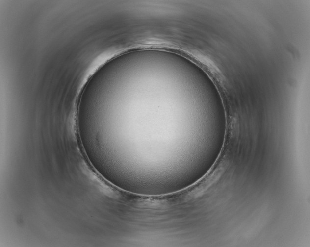 X0000110911374200906181334