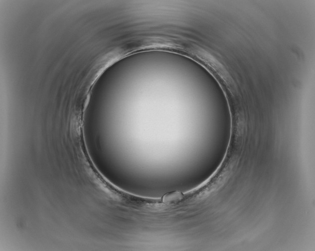 X0000110911377200906181334