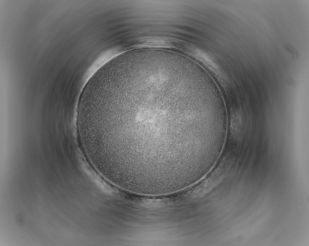 X0000110911378200906181334