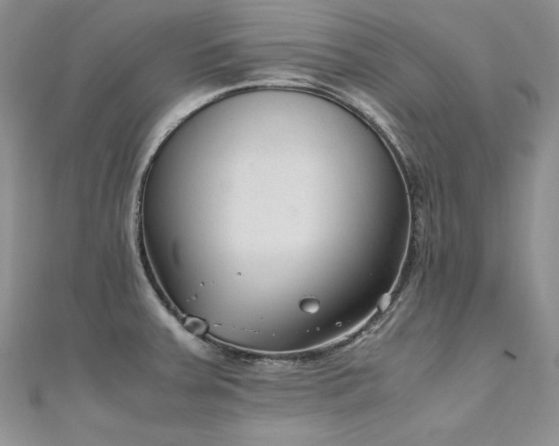 X0000110911379200906181334