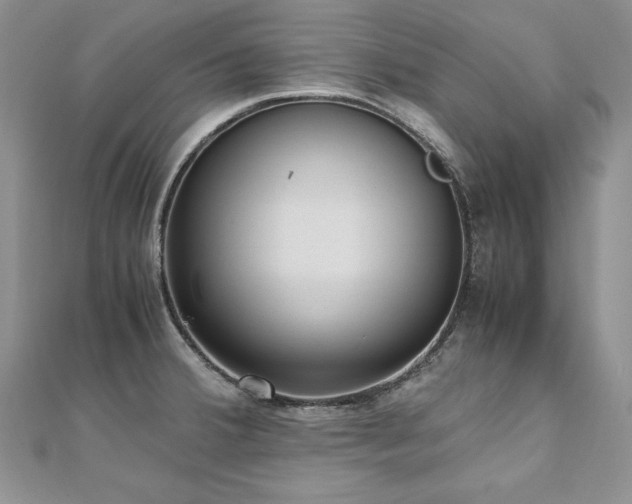 X0000110911380200906181334