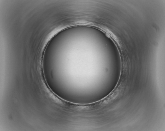 X0000110911381200906181334