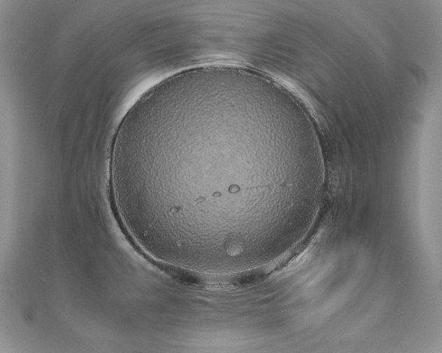 X0000110911383200906181334