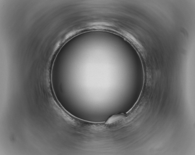 X0000110911384200906181334