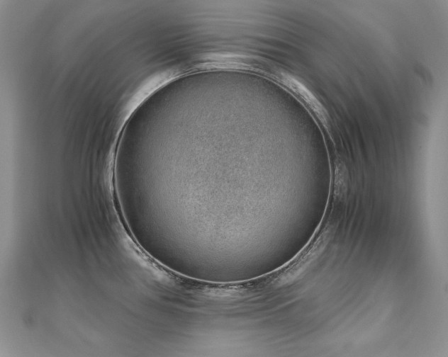 X0000110911386200906181334