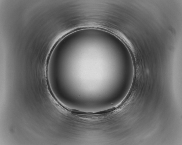 X0000110911388200906181334