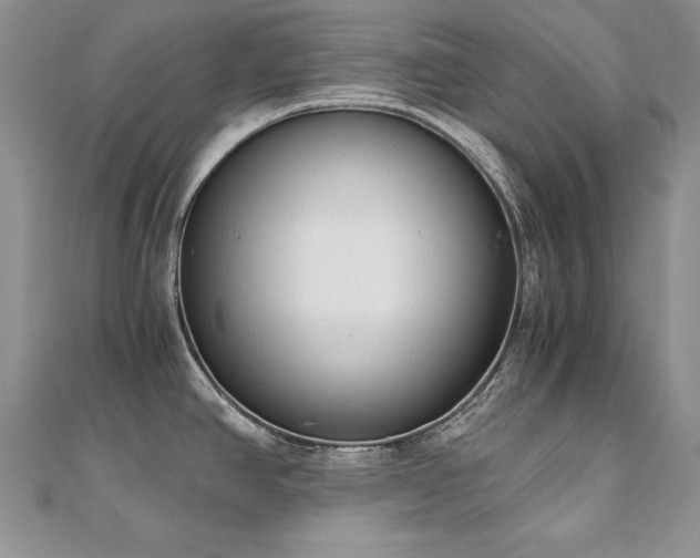 X0000110911390200906181334