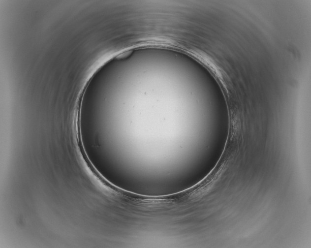 X0000110911391200906181334