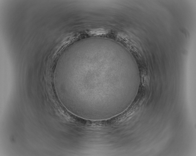 X0000110911393200906181333