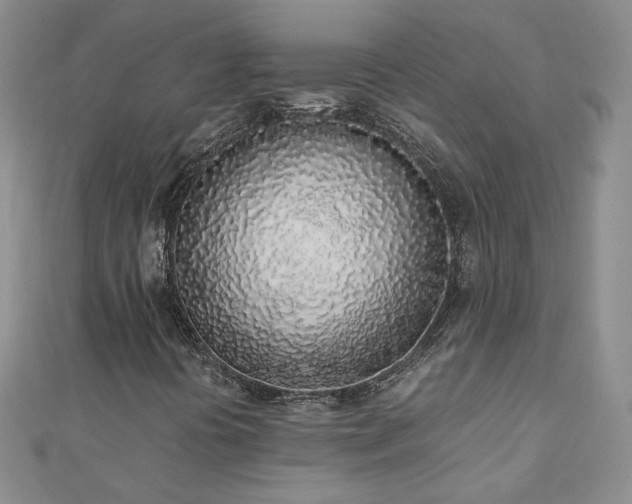 X0000110911394200906181333