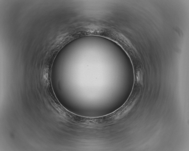 X0000110911396200906181333