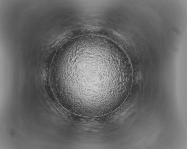 X0000110911397200906181333