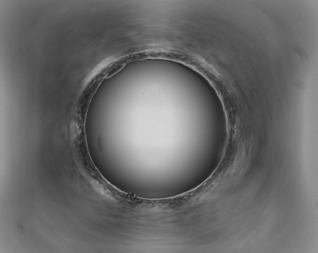 X0000110911400200906181333