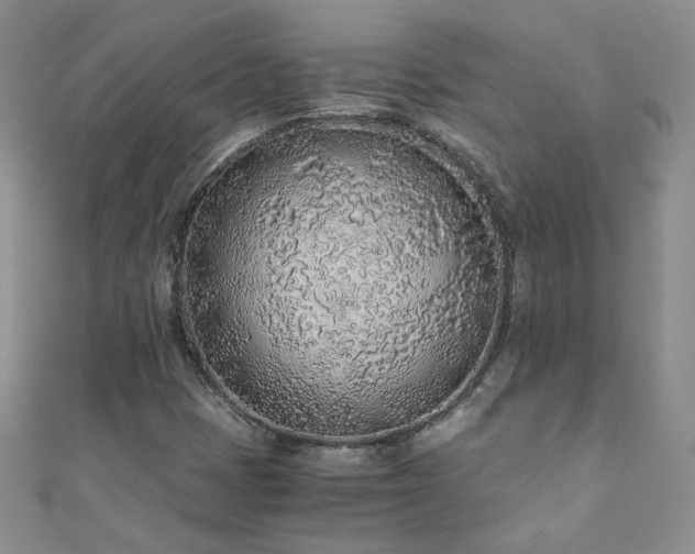 X0000110911401200906181333