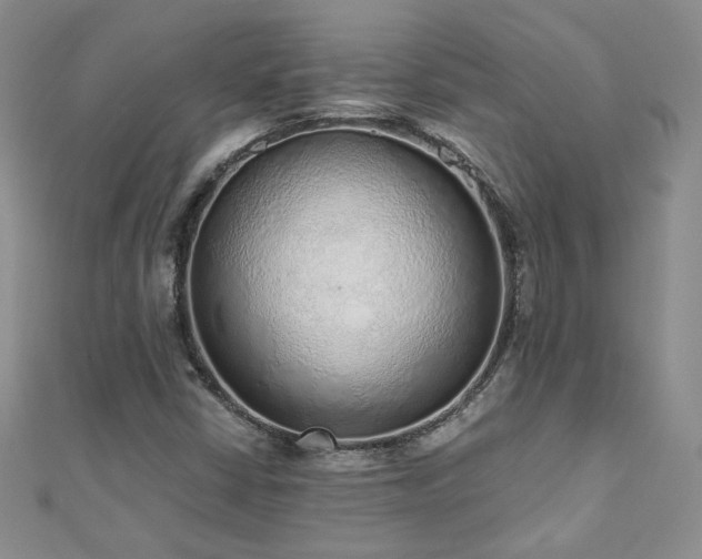 X0000110911402200906181333