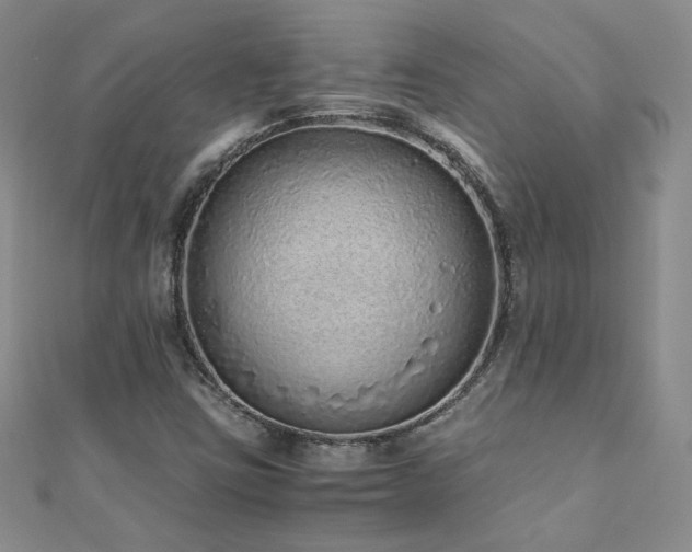 X0000110911403200906181333