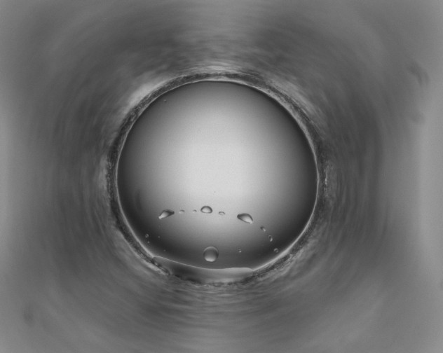 X0000110911404200906181333