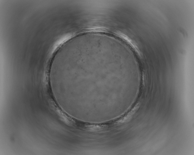 X0000110911405200906181333