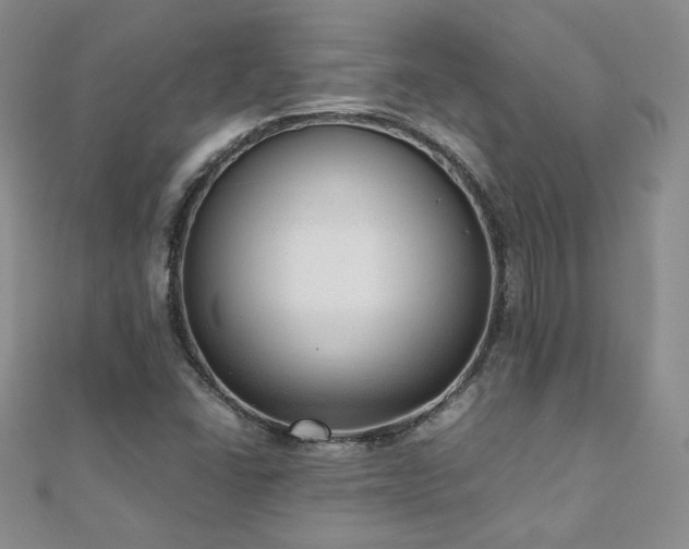 X0000110911406200906181333