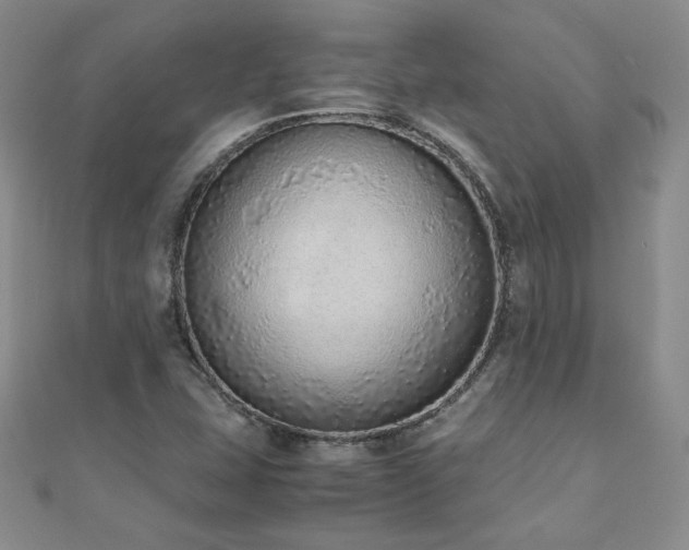 X0000110911407200906181333