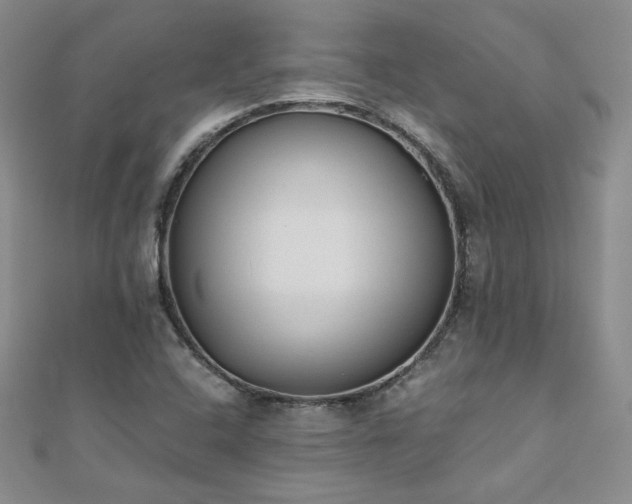 X0000110911408200906181333