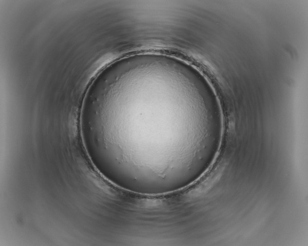 X0000110911409200906181333