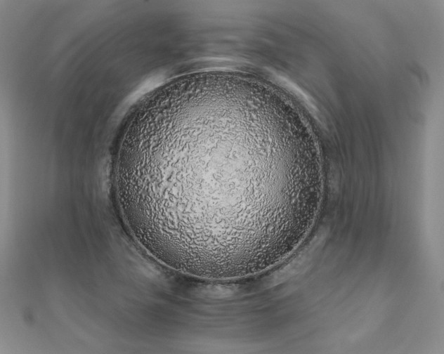 X0000110911411200906181333