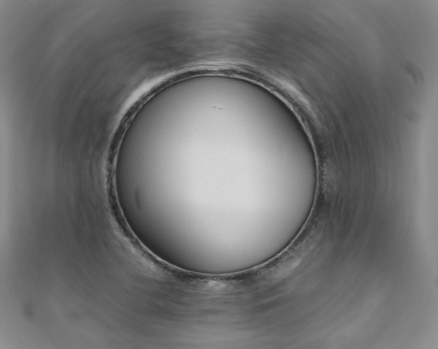 X0000110911412200906181333